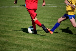 乐鱼体育官网下载-世界皮划艇世界杯中国男队勇摘银牌，世界皮划艇冠军男子