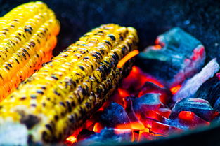 乐鱼体育app官网-运动饮食干预对运动表现的促进研究，举例阐述饮食运动对健康的意义